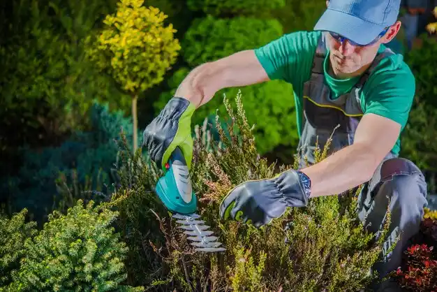landscaping services North Falmouth